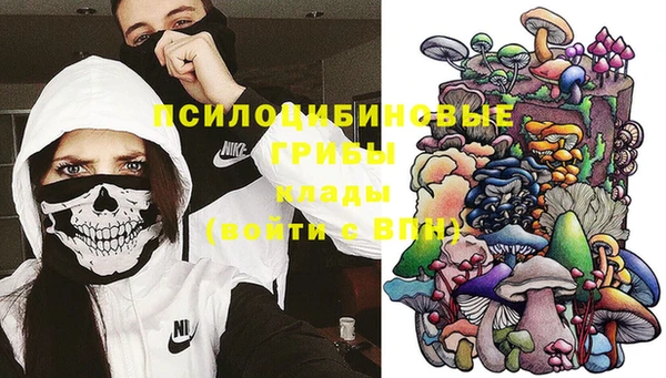 спайс Инта